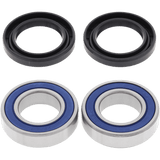 ALL BALLS RACING WHEEL BEARING KIT (25 - 1378) - DRIVEN Canada's Powersports 23725137825 - 1378