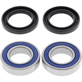 ALL BALLS RACING WHEEL BEARING KIT (25 - 1378) - DRIVEN Canada's Powersports 23725137825 - 1378