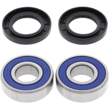ALL BALLS RACING WHEEL BEARING KIT (25 - 1379) - DRIVEN Canada's Powersports 23725137925 - 1379