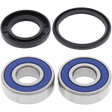 ALL BALLS RACING WHEEL BEARING KIT (25 - 1380) - DRIVEN Canada's Powersports 23725138025 - 1380