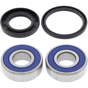 ALL BALLS RACING WHEEL BEARING KIT (25 - 1380) - DRIVEN Canada's Powersports 23725138025 - 1380