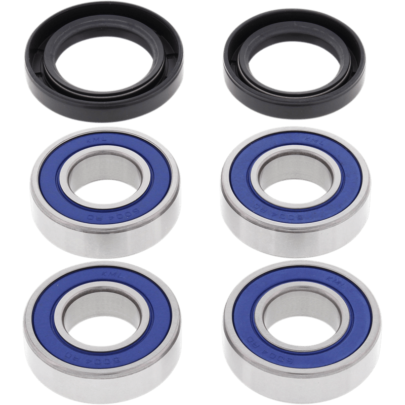 ALL BALLS RACING WHEEL BEARING KIT (25 - 1381) - DRIVEN Canada's Powersports 23725138125 - 1381