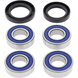 ALL BALLS RACING WHEEL BEARING KIT (25 - 1381) - DRIVEN Canada's Powersports 23725138125 - 1381