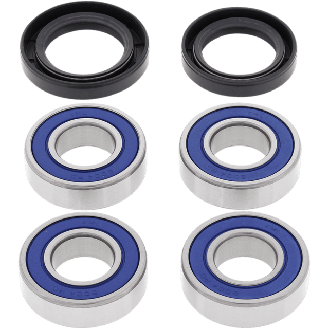 ALL BALLS RACING WHEEL BEARING KIT (25 - 1381) - DRIVEN Canada's Powersports 23725138125 - 1381