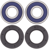ALL BALLS RACING WHEEL BEARING KIT (25 - 1382) - DRIVEN Canada's Powersports 23725138225 - 1382