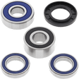 ALL BALLS RACING WHEEL BEARING KIT (25 - 1383) - DRIVEN Canada's Powersports 23725138325 - 1383
