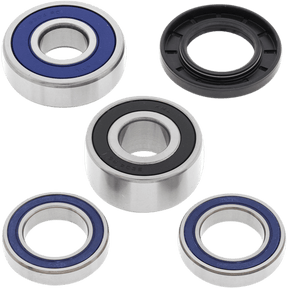 ALL BALLS RACING WHEEL BEARING KIT (25 - 1383) - DRIVEN Canada's Powersports 23725138325 - 1383