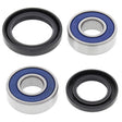 ALL BALLS RACING WHEEL BEARING KIT (25 - 1384) - DRIVEN Canada's Powersports 72398040806125 - 1384