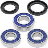ALL BALLS RACING WHEEL BEARING KIT (25 - 1386) - DRIVEN Canada's Powersports 23725138625 - 1386
