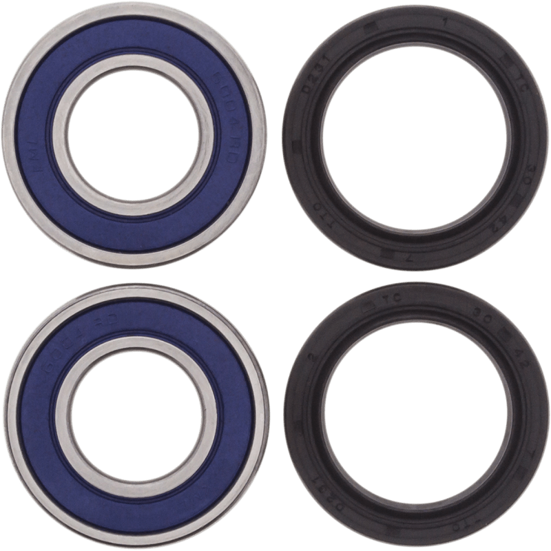 ALL BALLS RACING WHEEL BEARING KIT (25 - 1389) - DRIVEN Canada's Powersports 23725138925 - 1389