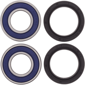 ALL BALLS RACING WHEEL BEARING KIT (25 - 1389) - DRIVEN Canada's Powersports 23725138925 - 1389
