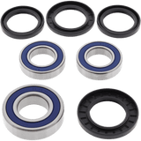 ALL BALLS RACING WHEEL BEARING KIT (25 - 1392) - DRIVEN Canada's Powersports 23725139225 - 1392