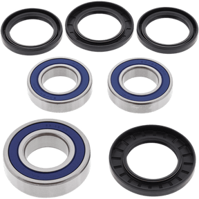 ALL BALLS RACING WHEEL BEARING KIT (25 - 1392) - DRIVEN Canada's Powersports 23725139225 - 1392