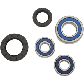ALL BALLS RACING WHEEL BEARING KIT (25 - 1393) - DRIVEN Canada's Powersports 72398042285225 - 1393