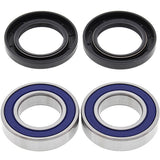 ALL BALLS RACING WHEEL BEARING KIT (25 - 1396) - DRIVEN Canada's Powersports 23725139625 - 1396