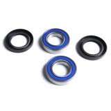 ALL BALLS RACING WHEEL BEARING KIT (25 - 1396) - DRIVEN Canada's Powersports 23725139625 - 1396
