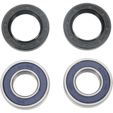 ALL BALLS RACING WHEEL BEARING KIT (25 - 1403) - DRIVEN Canada's Powersports 23725140325 - 1403