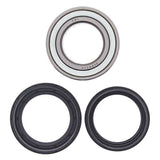 ALL BALLS RACING WHEEL BEARING KIT (25 - 1497) - DRIVEN Canada's Powersports 23725149725 - 1497