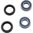 ALL BALLS RACING WHEEL BEARING KIT (25 - 1510) - DRIVEN Canada's Powersports 23725151025 - 1510