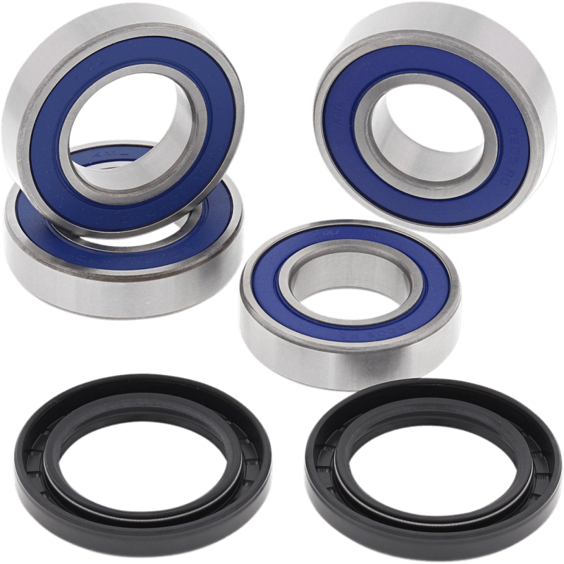 ALL BALLS RACING WHEEL BEARING KIT (25 - 1563) - DRIVEN Canada's Powersports 23725156325 - 1563