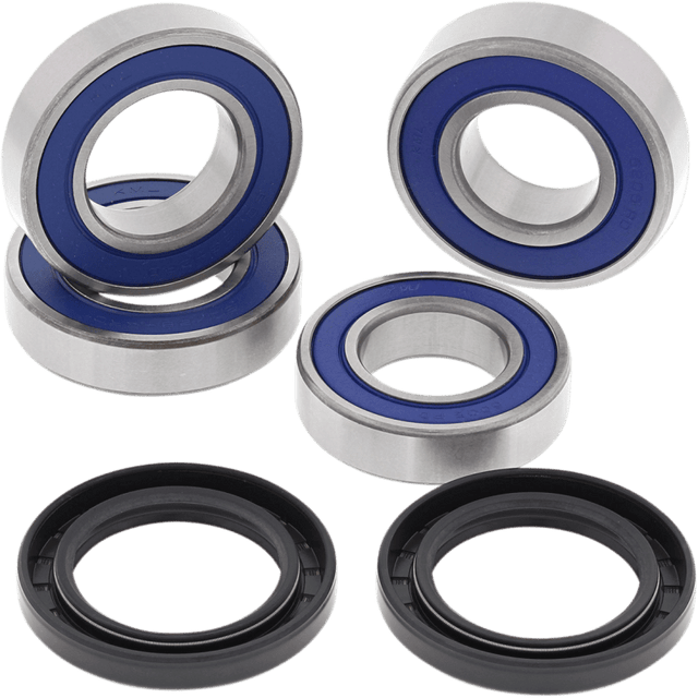 ALL BALLS RACING WHEEL BEARING KIT (25 - 1563) - DRIVEN Canada's Powersports 23725156325 - 1563