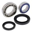 ALL BALLS RACING WHEEL BEARING KIT (25 - 1567) - DRIVEN Canada's Powersports 72398041541025 - 1567