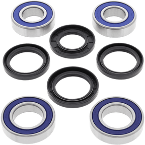 ALL BALLS RACING WHEEL BEARING KIT (25 - 1568) - DRIVEN Canada's Powersports 72398040699925 - 1568