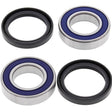 ALL BALLS RACING WHEEL BEARING KIT (25 - 1579) - DRIVEN Canada's Powersports 72398040062125 - 1579