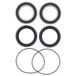 ALL BALLS RACING WHEEL BEARING KIT (25 - 1617) - DRIVEN Canada's Powersports 23725161725 - 1617