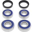 ALL BALLS RACING WHEEL BEARING KIT (25 - 1646) - DRIVEN Canada's Powersports 23725164625 - 1646