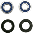 ALL BALLS RACING WHEEL BEARING KIT (25 - 1653) - DRIVEN Canada's Powersports 23725165325 - 1653