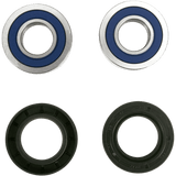 ALL BALLS RACING WHEEL BEARING KIT (25 - 1653) - DRIVEN Canada's Powersports 23725165325 - 1653