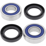 ALL BALLS RACING WHEEL BEARING KIT (25 - 1654) - DRIVEN Canada's Powersports 23725165425 - 1654