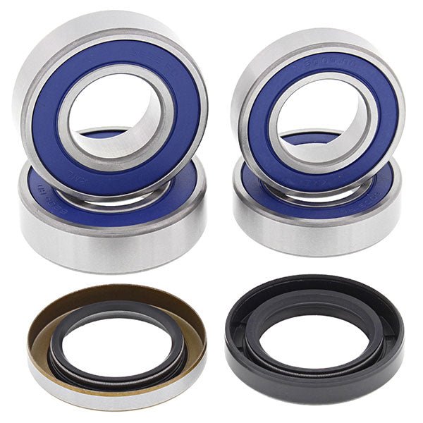 ALL BALLS RACING WHEEL BEARING KIT (25 - 1673) - DRIVEN Canada's Powersports 72398042328625 - 1673