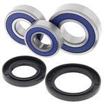 ALL BALLS RACING WHEEL BEARING KIT (25 - 1703) - DRIVEN Canada's Powersports 23725170325 - 1703