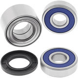 ALL BALLS RACING WHEEL BEARING KIT (25 - 1729) - DRIVEN Canada's Powersports 72398042852625 - 1729