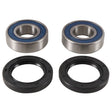 ALL BALLS RACING WHEEL BEARING KIT (25 - 1738) - DRIVEN Canada's Powersports 23725173825 - 1738