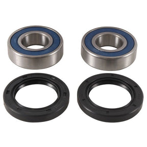 ALL BALLS RACING WHEEL BEARING KIT (25 - 1738) - DRIVEN Canada's Powersports 23725173825 - 1738