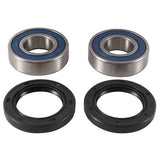 ALL BALLS RACING WHEEL BEARING KIT (25 - 1738) - DRIVEN Canada's Powersports 23725173825 - 1738
