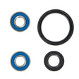 ALL BALLS RACING WHEEL BEARING KIT (25 - 1745) - DRIVEN Canada's Powersports 72398043469525 - 1745