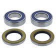 ALL BALLS RACING WHEEL BEARING KIT (25 - 1750) - DRIVEN Canada's Powersports 61331079592625 - 1750
