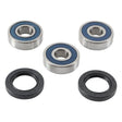 ALL BALLS RACING WHEEL BEARING KIT (25 - 1755) - DRIVEN Canada's Powersports 72398044883825 - 1755
