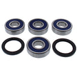 ALL BALLS RACING WHEEL BEARING KIT (25 - 1763) - DRIVEN Canada's Powersports 72398044055925 - 1763