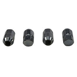 ALL BALLS RACING WHEEL NUT KIT (85 - 1245) - DRIVEN Canada's Powersports 23785124585 - 1245