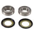 ALL BALLS RACING STEERING BEARING/SEAL KIT (22 - 1078) - DRIVEN Canada's Powersports 72398044050422 - 1078