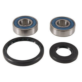 ALL BALLS RACING WHEEL BEARING KIT (25 - 1743) - DRIVEN Canada's Powersports 23725174325 - 1743