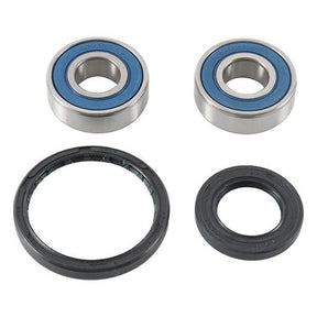ALL BALLS RACING WHEEL BEARING KIT (25 - 1744) - DRIVEN Canada's Powersports 72398044892025 - 1744