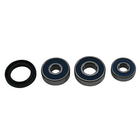 ALL BALLS RACING WHEEL BEARING KIT (25 - 1793) - DRIVEN Canada's Powersports 25 - 1793