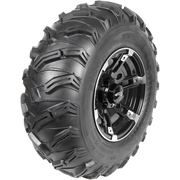 AMS 25X10 - 12 6PR LM - 869 WIDOW REAR - DRIVEN Canada's Powersports 1250 - 351