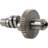 ANDREWS 70 - E77 B/T "A2" W/GEAR .450" LIFT - DRIVEN Canada's Powersports 212263